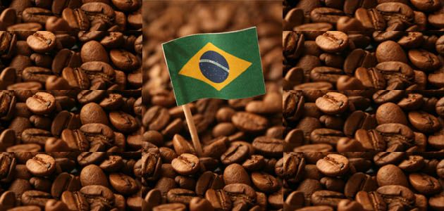 Brasil exporta 40,4 milhões de sacas de café em 2021, com receita de US$ 6,2 bilhões